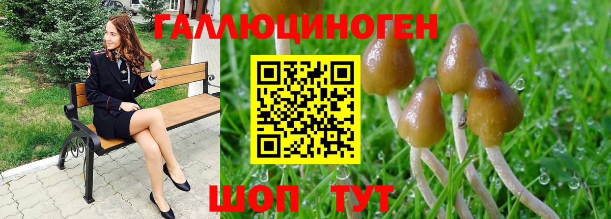 Галлюциногенные грибы Psilocybe Артём