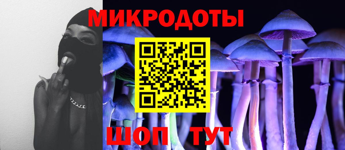 Артём  Псилоцибиновые грибы Cubensis  Вход с VPN 